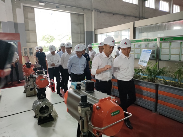 湖州市市長王綱、長興縣縣長沈志偉等市縣領(lǐng)導蒞臨國家高新技術(shù)企業(yè)——浙江中德科技股份視察