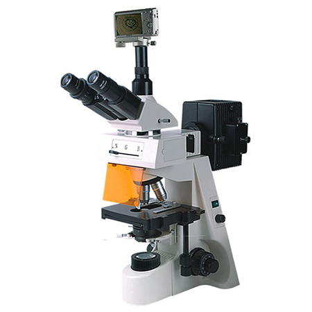 BM-19AYS熒光顯微鏡（數(shù)碼、落射）